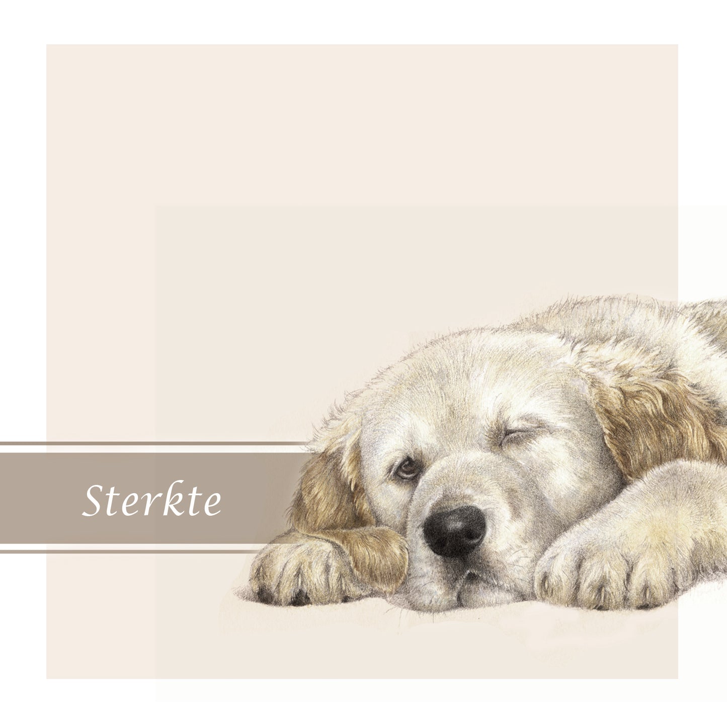 Quadratische Karte - Beileidskarte Hund