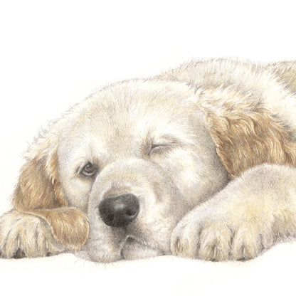 Vierkante kaart - Waarom haasten, als het rustig aan ook prima gaat... (honden print Golden Retriever)