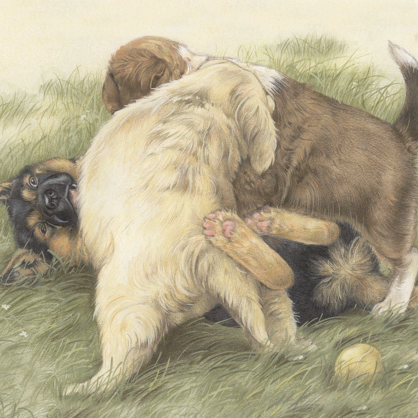 Vierkante kaart - Tijd voor een lekker partijtje stoeien. Maakt niet uit hoe vuil ik word. (honden print)
