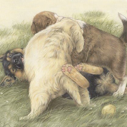 Vierkante kaart - Tijd voor een lekker partijtje stoeien. Maakt niet uit hoe vuil ik word. (honden print)