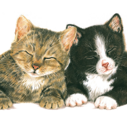 Vierkante kaart - Toch wel erg fijn dat we met z'n tweetjes zijn... (katten print)