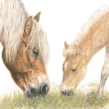 Square card - The Haflingers should not be missing either,