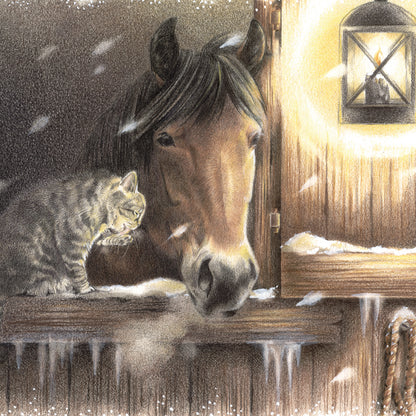 Quadratische Karte - Winterszene; Pferd im Stall, Gesellschaft von Katze