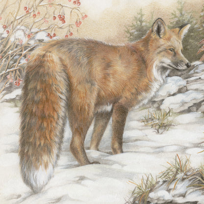 Quadratische Karte - Fuchs im Schnee