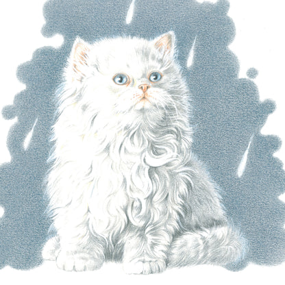Quadratische Karte - It's Raining Cat's - Perserkatze