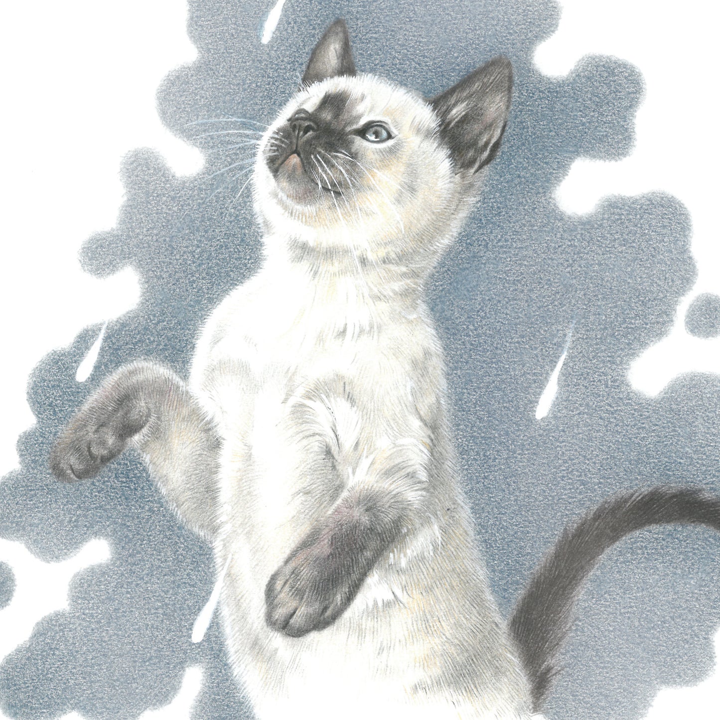 Quadratische Karte - It's Raining Cat's - Ragdoll