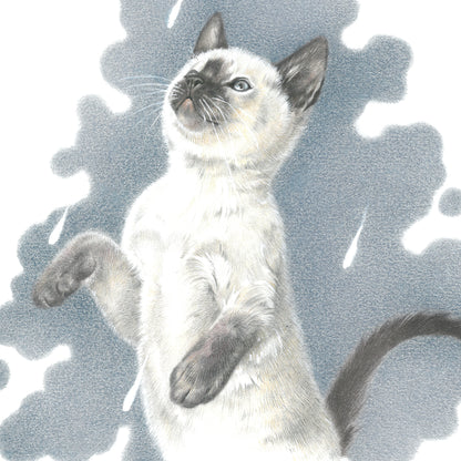 Quadratische Karte - It's Raining Cat's - Ragdoll