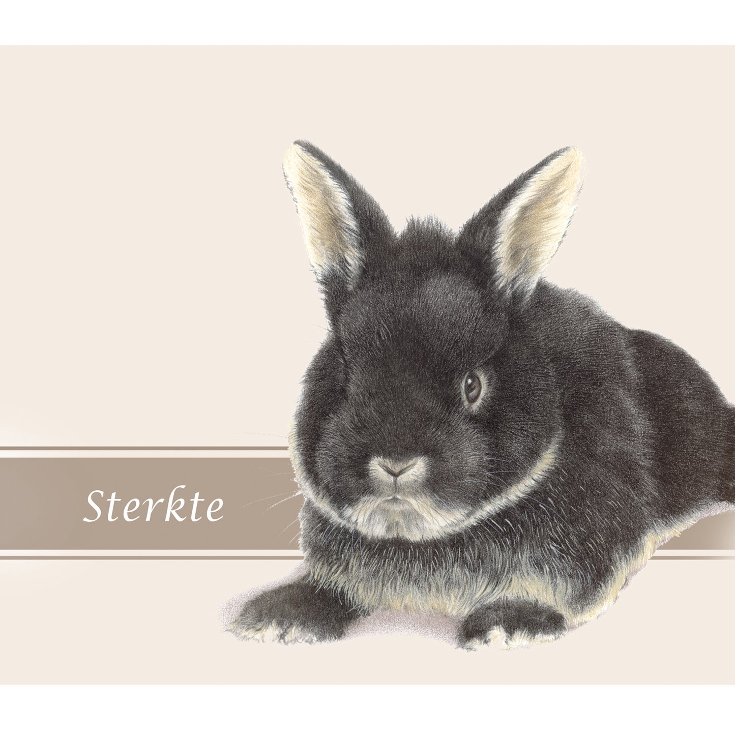 Quadratische Karte - Beileidskarte Hase