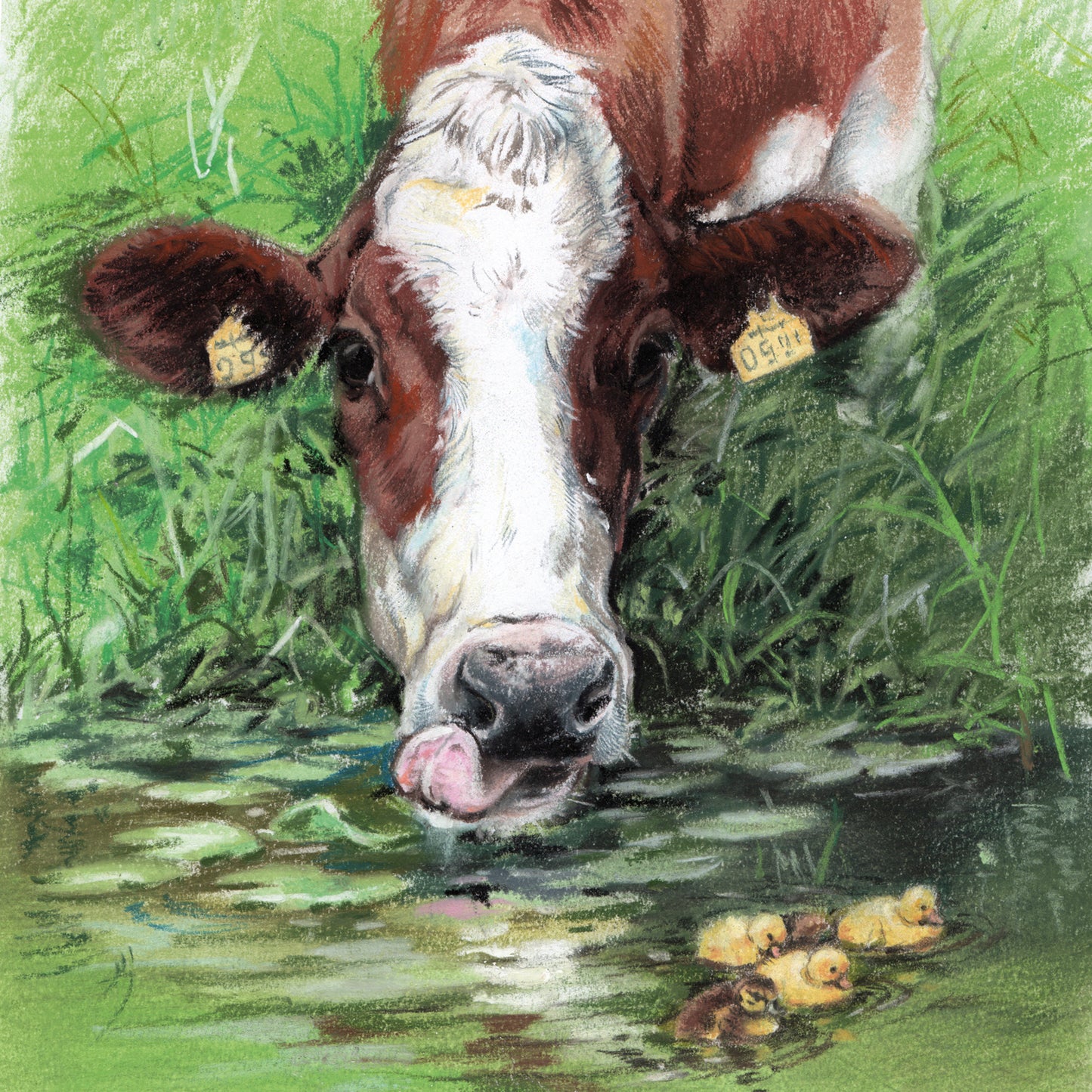 Vierkante kaart - Wie heeft er behoefte aan een oude koe uit de sloot, als er nieuwe gewoon naast staan? (Koeien print)