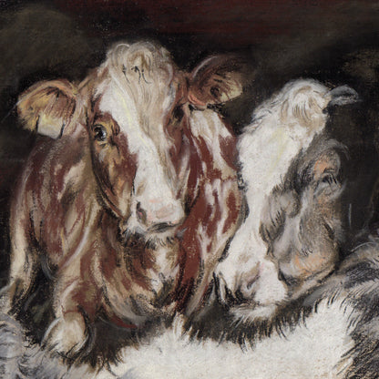Vierkante kaart - Twee koeien - Kalverliefde (Koeien print)
