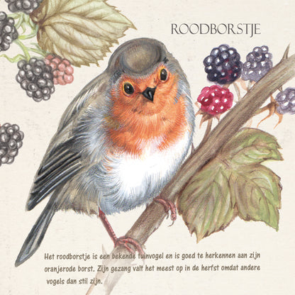 Vierkante kaart - Roodborst (vogel print)