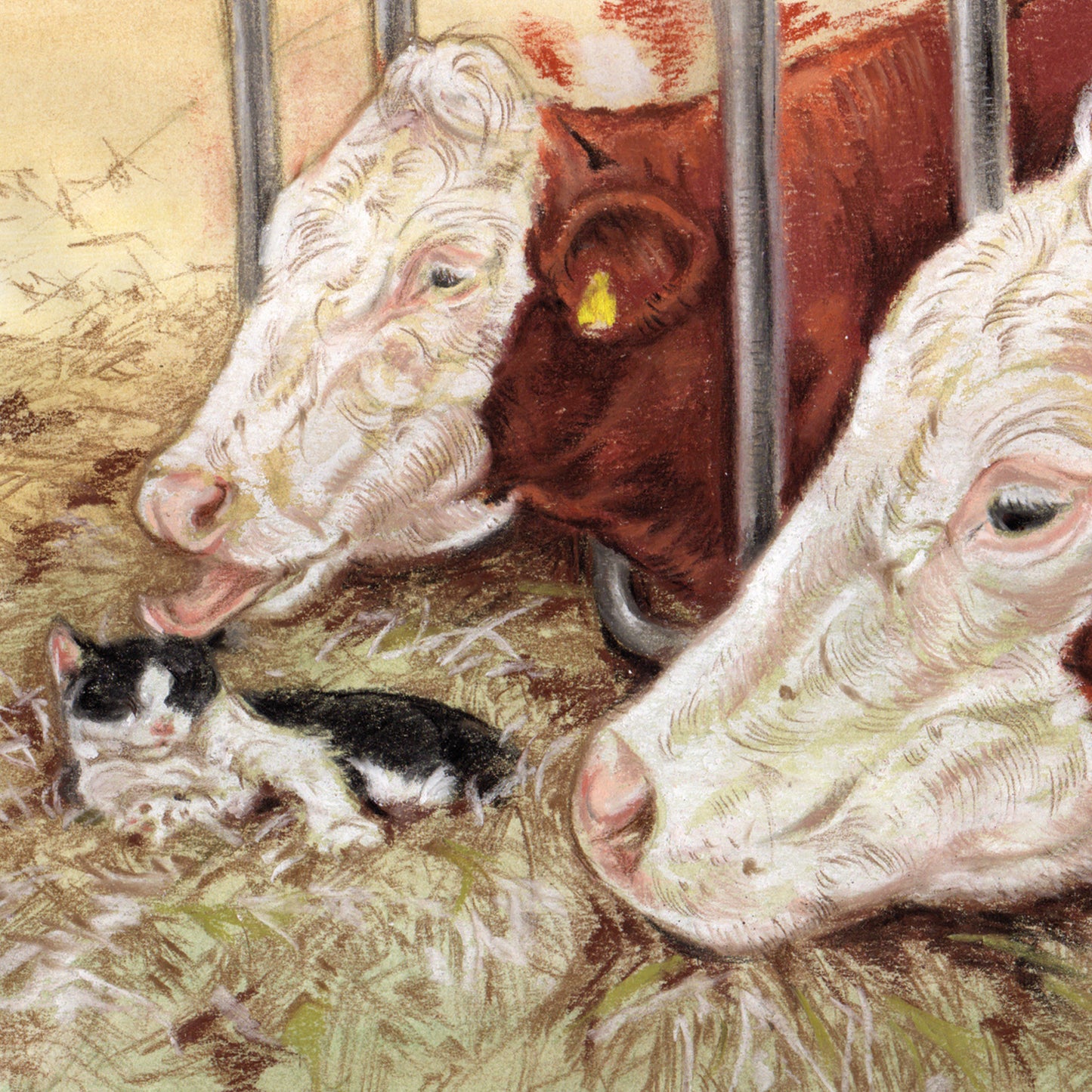 Square Card - Diese Katze hat viele Freunde