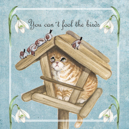 Vierkante kaart - You can't fool the birds (katten print)