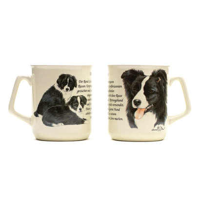 Mok Border Collie