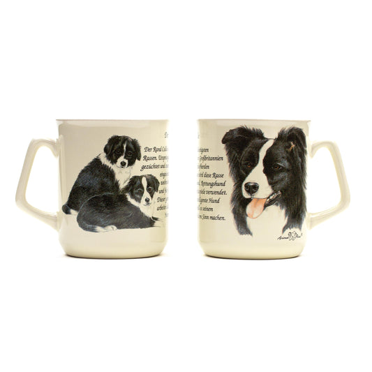 Becher Border Collie