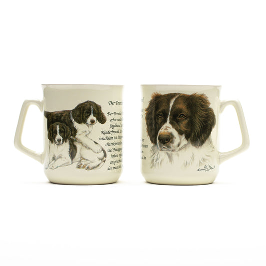 Tasse Drentsche Patrijshond