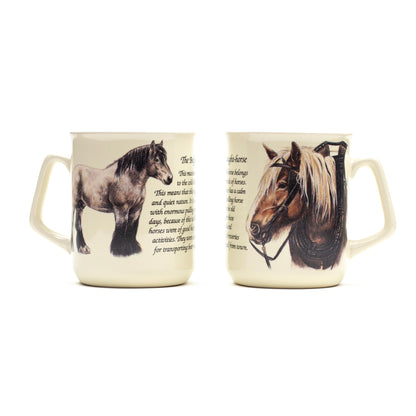 Tasse Belgisches Zugpferd
