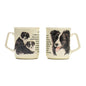 Mok Border Collie