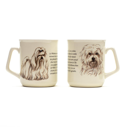 Tasse Malteser