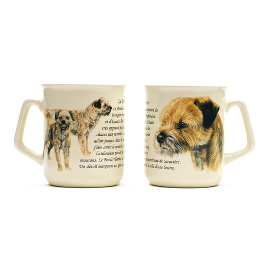 Tasse Border Terrier