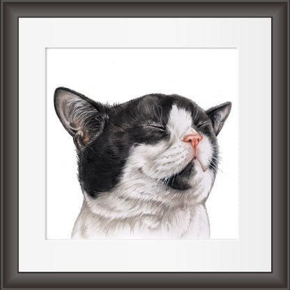 Reproduktion "Katzenkopf:
