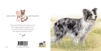 Quadratische Karte - Ein wunderschöner Border Collie, blue Merle