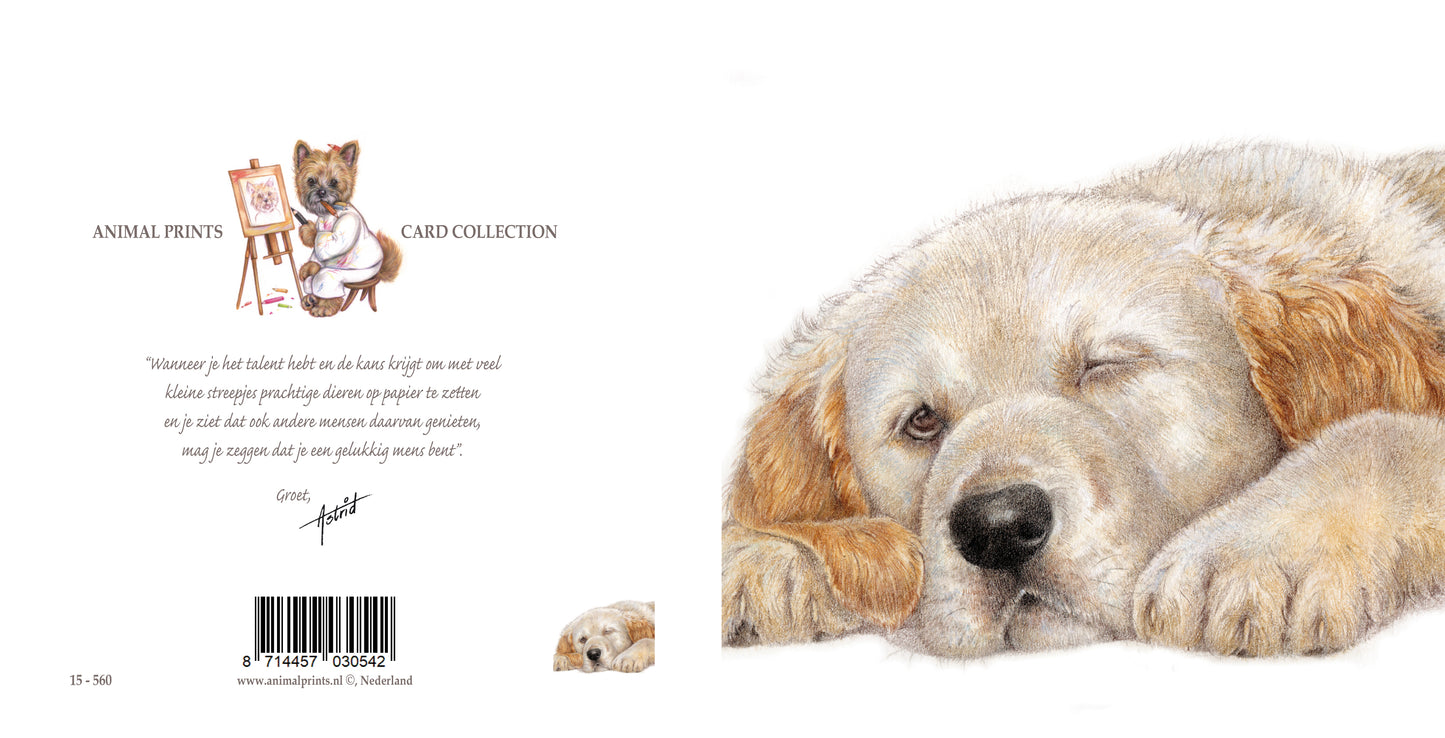 Vierkante kaart - Waarom haasten, als het rustig aan ook prima gaat... (honden print Golden Retriever)