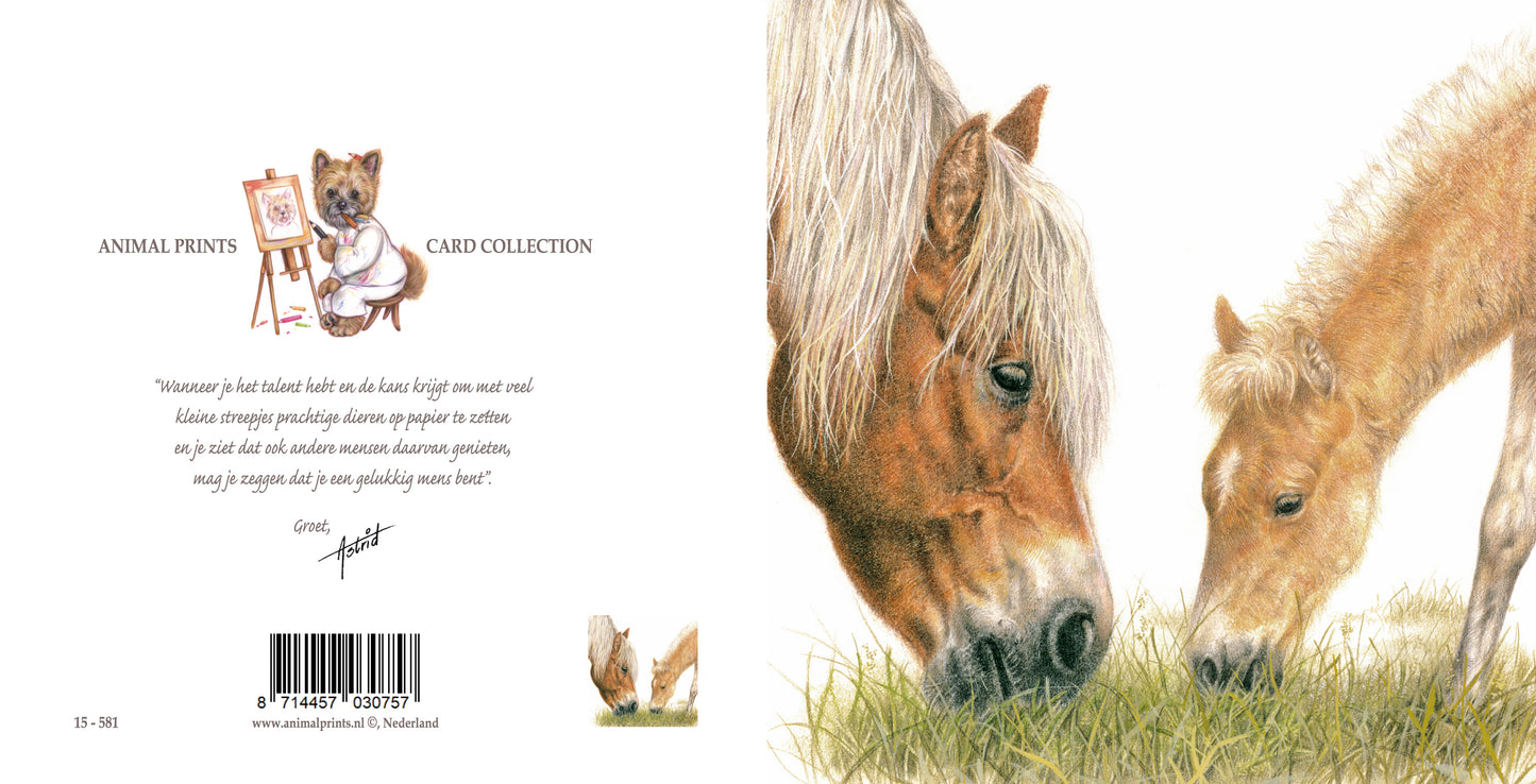 Square card - The Haflingers should not be missing either,