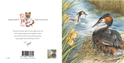 Square card - Grebe, with boy between the wings.