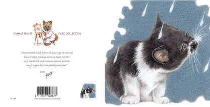 Quadratische Karte - It's Raining Cat's - Europäisch Kurzhaar
