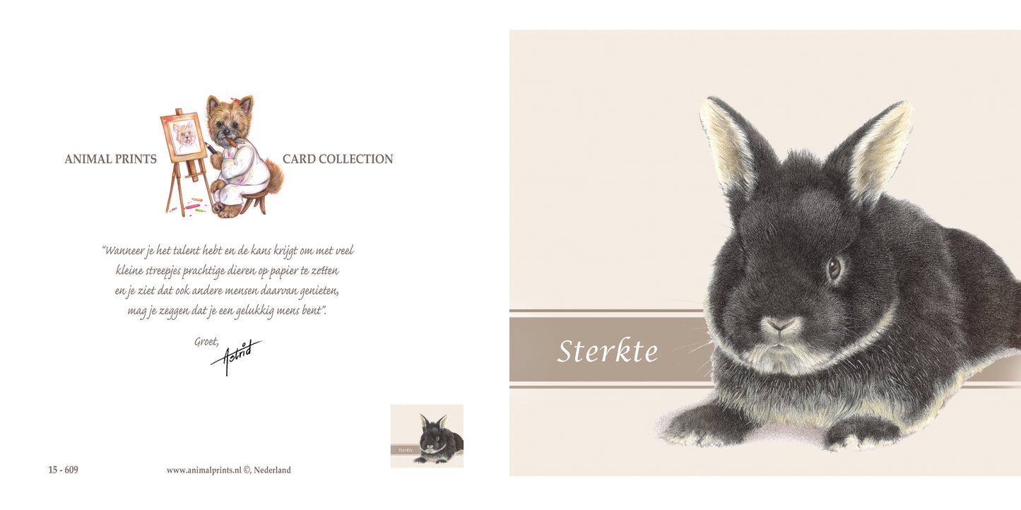 Quadratische Karte - Beileidskarte Hase
