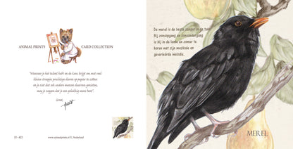 Vierkante kaart - Merel (Vogel)