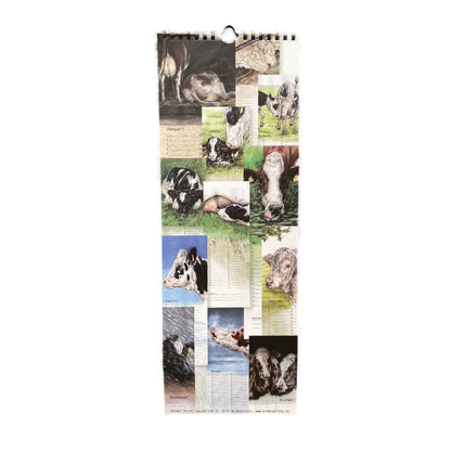 Birthday Calendar Cow