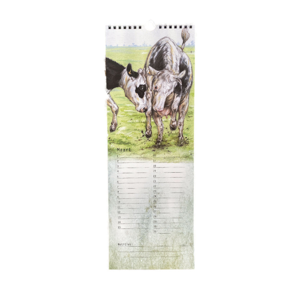 Birthday Calendar Cow