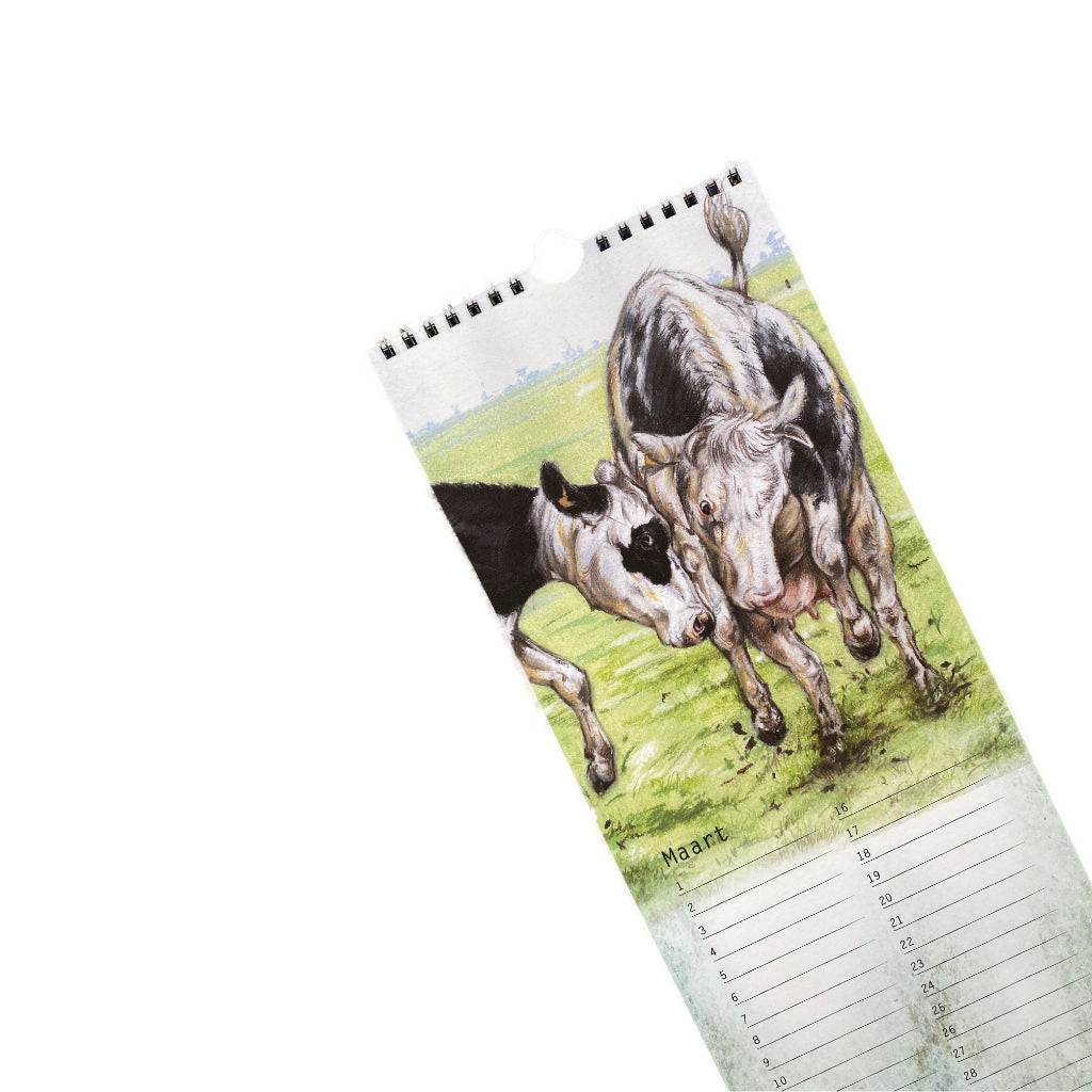 Birthday Calendar Cow