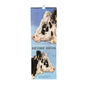 Birthday Calendar Cow