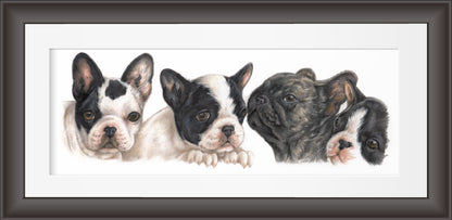 Reproduktion "Welpen der französischen Bulldogge".