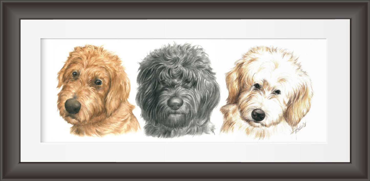 Reproduktion "Labradoodles in einer Reihe".