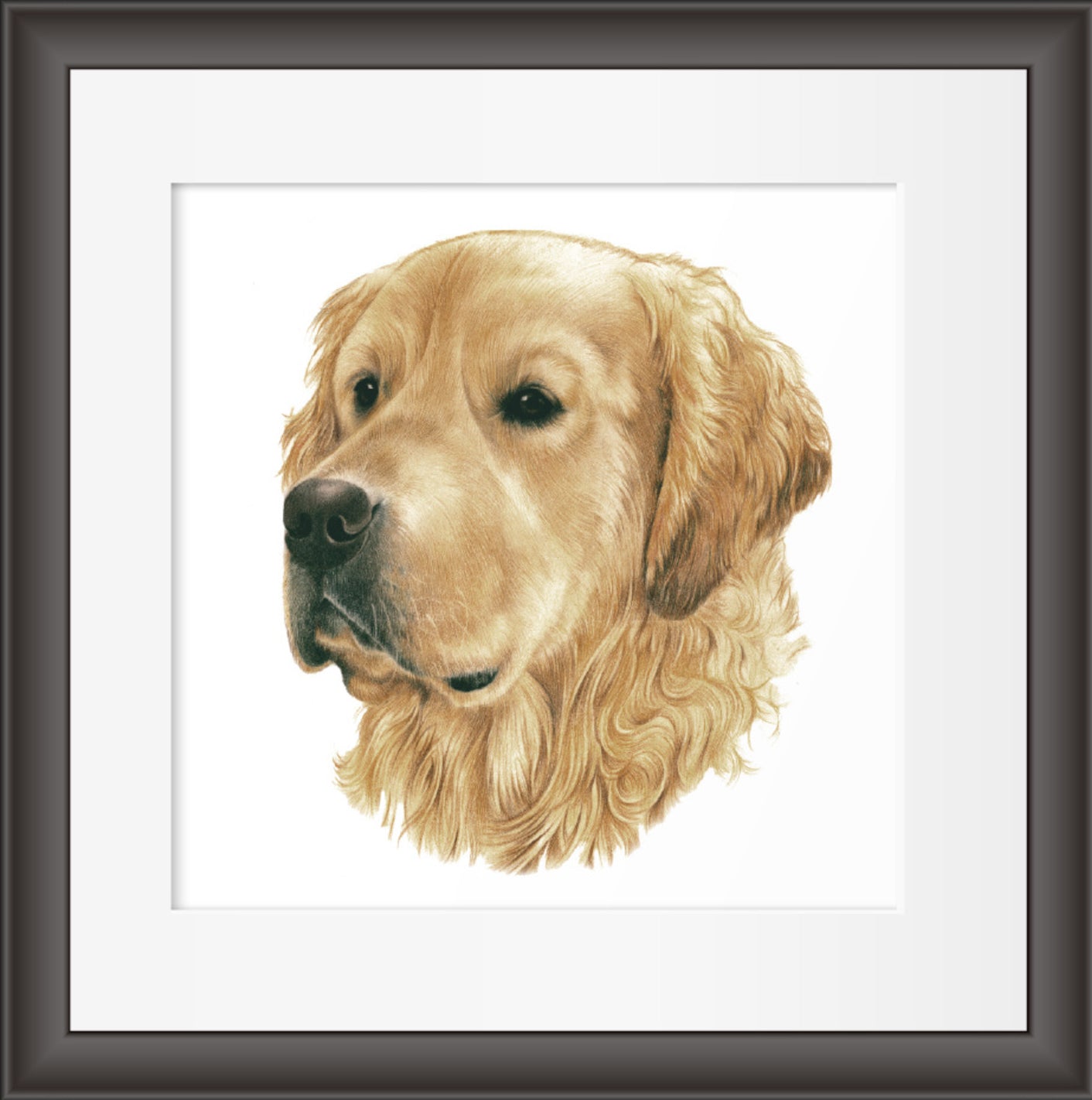 Reproduktion "Golden Retriever".