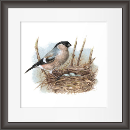 Reproduktion "Vogelnest".