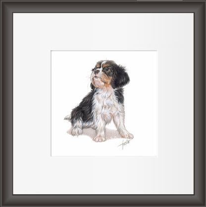 Reproduktion „Cavalier King Charles Spaniels“.