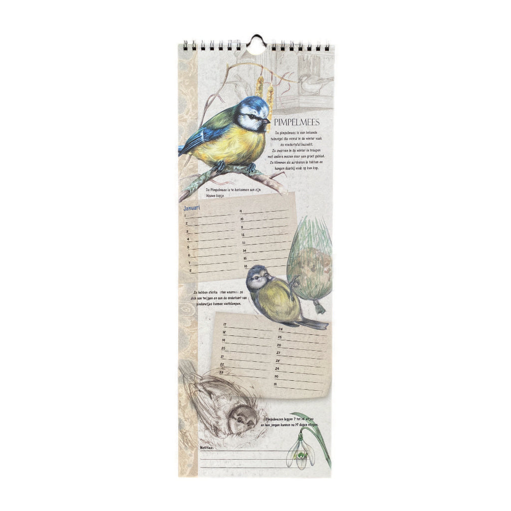 Birthday Calendar Birds