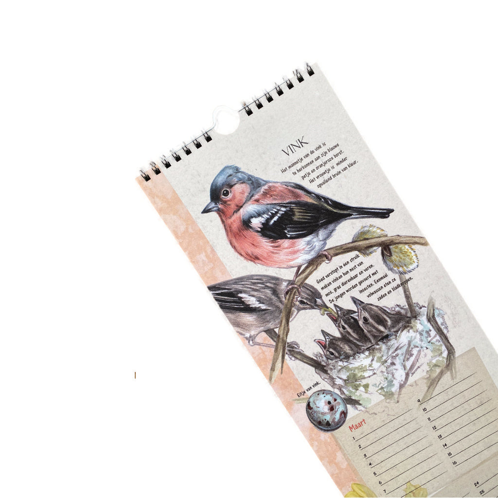 Birthday Calendar Birds
